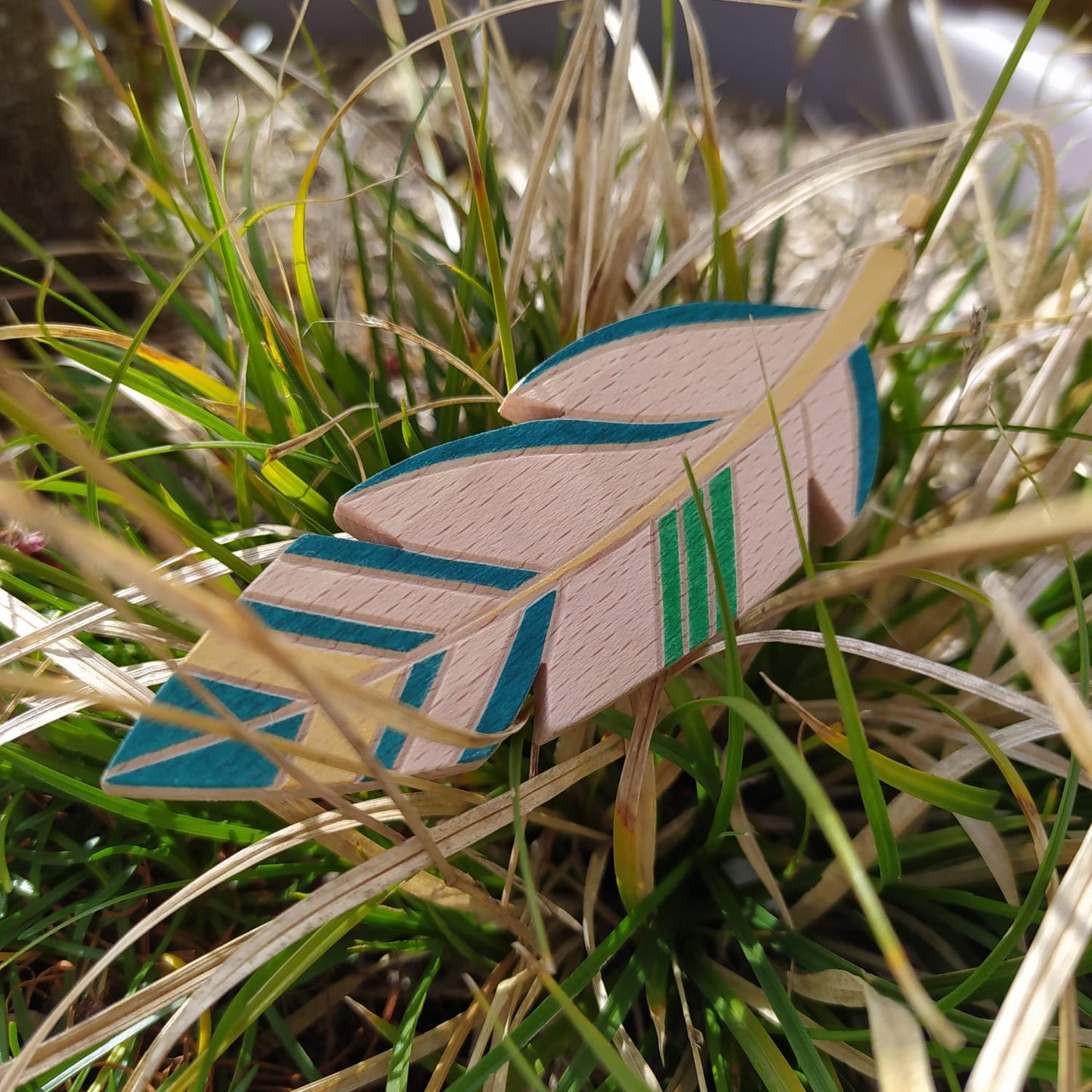 Plumes - Singularité