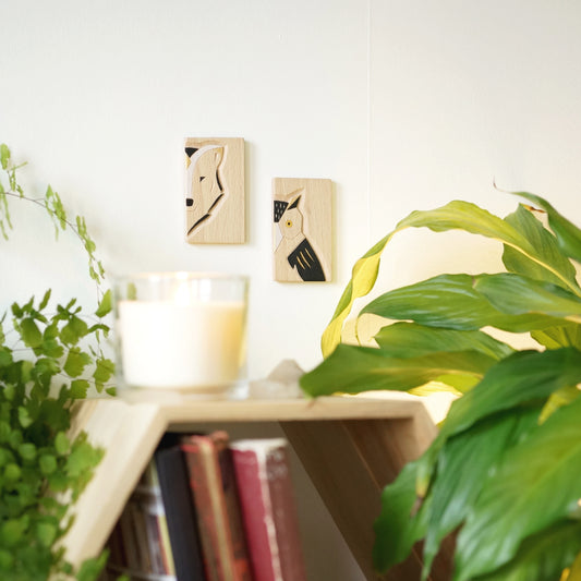 Veilleurs - Mystère et élégance