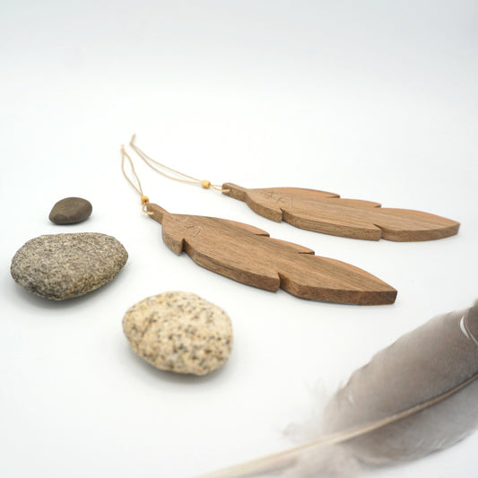 Plumes - Montagnes enneigées