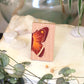 Le Papillon