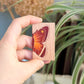 Le Papillon